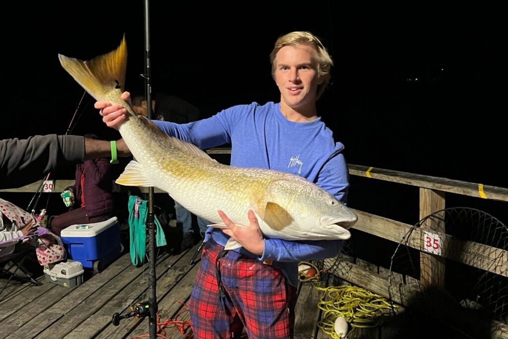 Caden Curran, of Wilmington, hauled up this 40"+ red drum while fishing from the Kure Beach Pier using a spot head on the bottom.