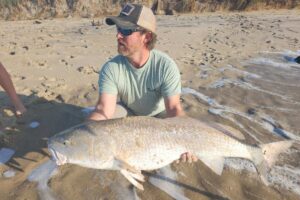 Aaron Watkins, of Thomasville, NC, caught this red drum from the surf in Cape Hatteras using cut mullet.